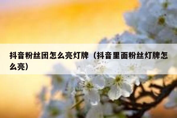 抖音粉丝团怎么亮灯牌（抖音里面粉丝灯牌怎么亮） 第1张