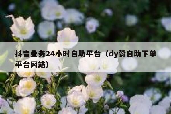 抖音业务24小时自助平台（dy赞自助下单平台网站） 第1张