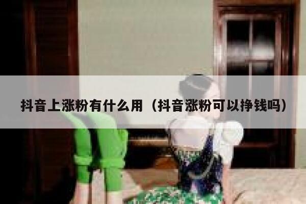 抖音上涨粉有什么用（抖音涨粉可以挣钱吗） 第1张