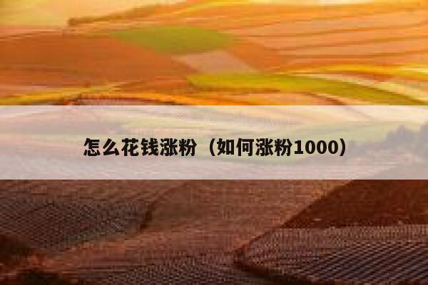 怎么花钱涨粉（如何涨粉1000） 第1张
