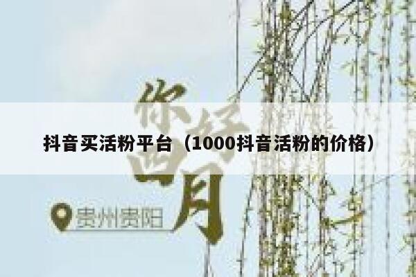 抖音买活粉平台（1000抖音活粉的价格） 第1张