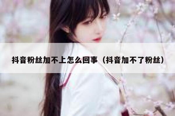 抖音粉丝加不上怎么回事（抖音加不了粉丝） 第1张