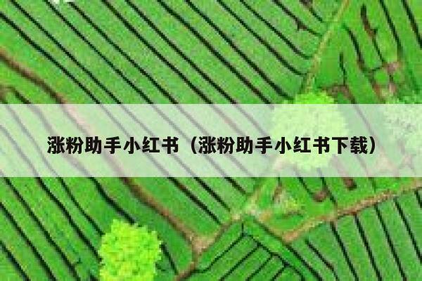 涨粉助手小红书（涨粉助手小红书下载） 第1张