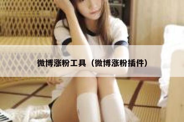 微博涨粉工具（微博涨粉插件） 第1张