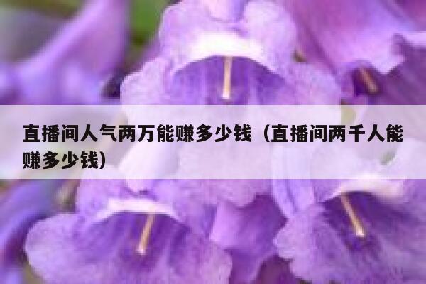 直播间人气两万能赚多少钱（直播间两千人能赚多少钱） 第1张