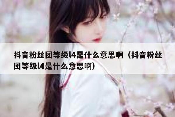 抖音粉丝团等级l4是什么意思啊（抖音粉丝团等级l4是什么意思啊） 第1张