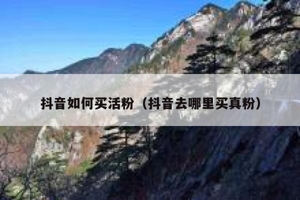 抖音如何买活粉（抖音去哪里买真粉） 第1张