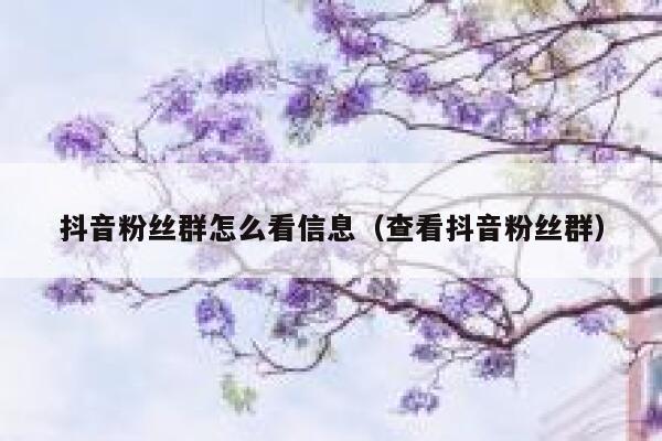 抖音粉丝群怎么看信息（查看抖音粉丝群） 第1张