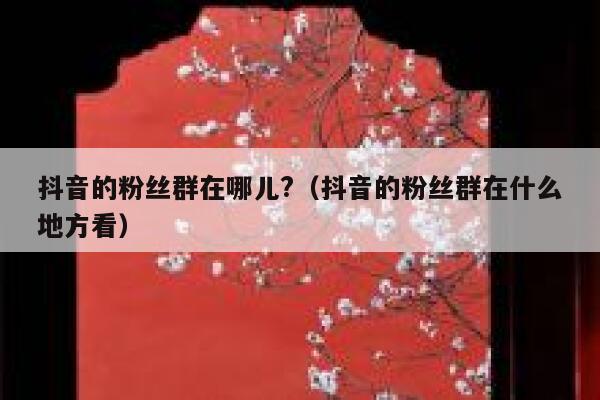 抖音的粉丝群在哪儿?（抖音的粉丝群在什么地方看） 第1张