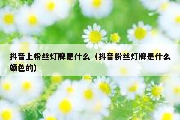 抖音上粉丝灯牌是什么（抖音粉丝灯牌是什么颜色的） 第1张