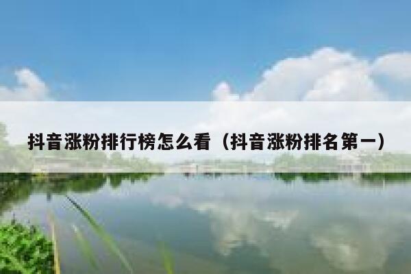 抖音涨粉排行榜怎么看（抖音涨粉排名第一） 第1张