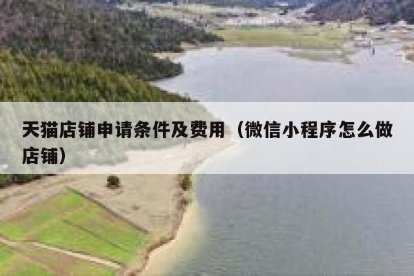天猫店铺申请条件及费用（微信小程序怎么做店铺） 第1张
