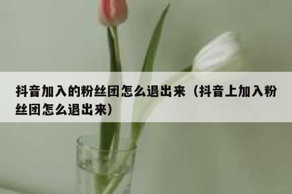 抖音加入的粉丝团怎么退出来（抖音上加入粉丝团怎么退出来） 第1张