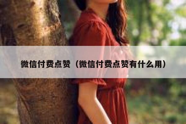 微信付费点赞（微信付费点赞有什么用） 第1张