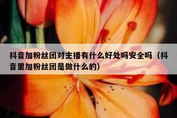 抖音加粉丝团对主播有什么好处吗安全吗（抖音里加粉丝团是做什么的） 第1张