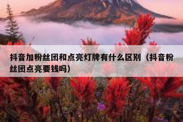 抖音加粉丝团和点亮灯牌有什么区别（抖音粉丝团点亮要钱吗） 第1张
