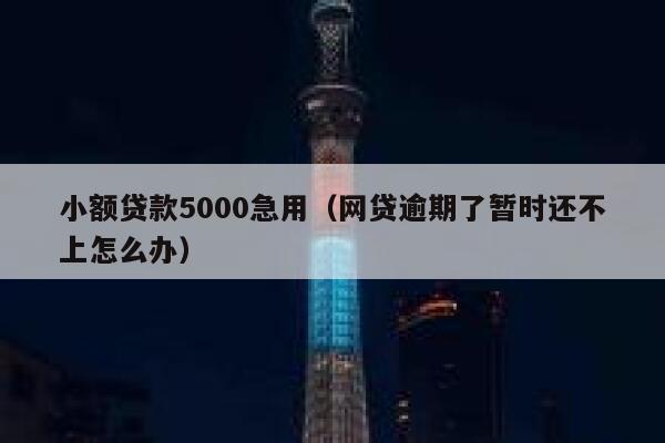 小额贷款5000急用（网贷逾期了暂时还不上怎么办） 第1张