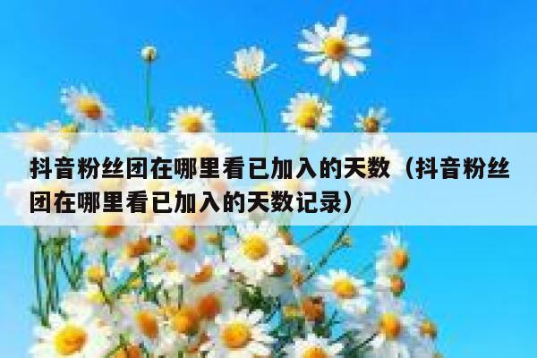 抖音粉丝团在哪里看已加入的天数（抖音粉丝团在哪里看已加入的天数记录） 第1张
