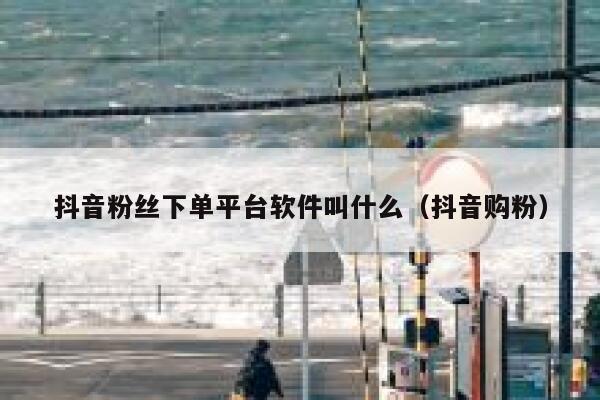 抖音粉丝下单平台软件叫什么（抖音购粉） 第1张
