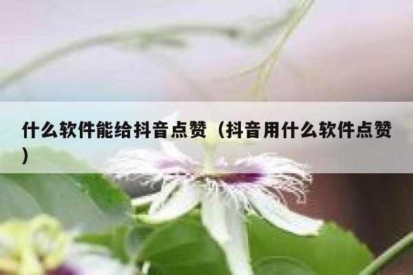 什么软件能给抖音点赞（抖音用什么软件点赞） 第1张