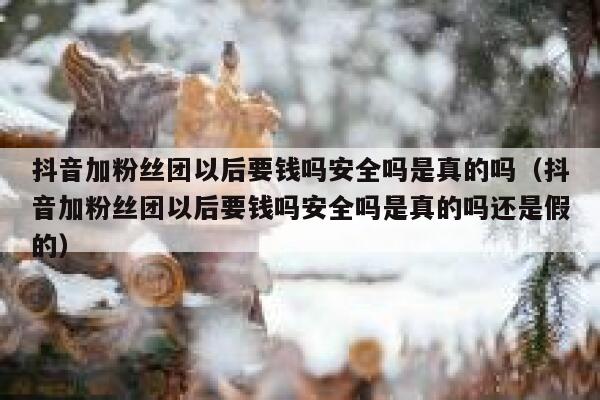 抖音加粉丝团以后要钱吗安全吗是真的吗（抖音加粉丝团以后要钱吗安全吗是真的吗还是假的） 第1张