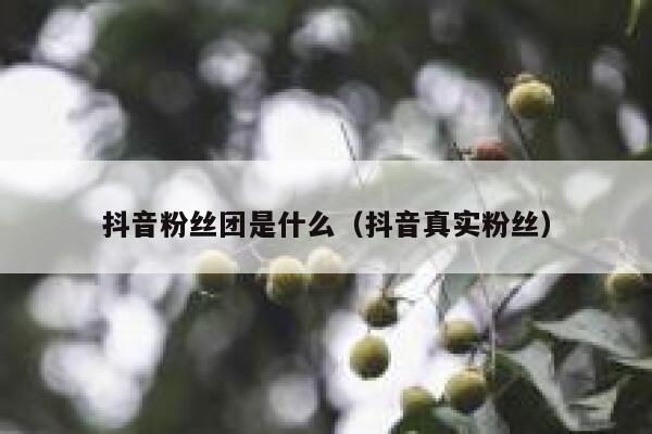 抖音粉丝团是什么（抖音真实粉丝） 第1张