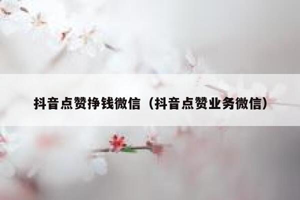 抖音点赞挣钱微信（抖音点赞业务微信） 第1张