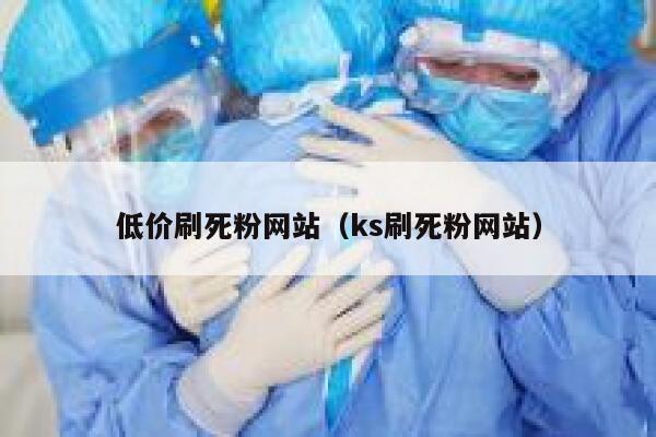低价刷死粉网站（ks刷死粉网站） 第1张