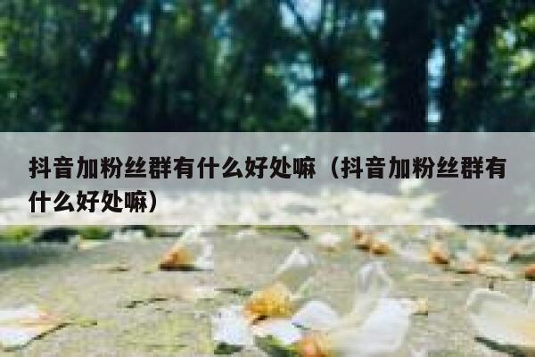 抖音加粉丝群有什么好处嘛（抖音加粉丝群有什么好处嘛） 第1张
