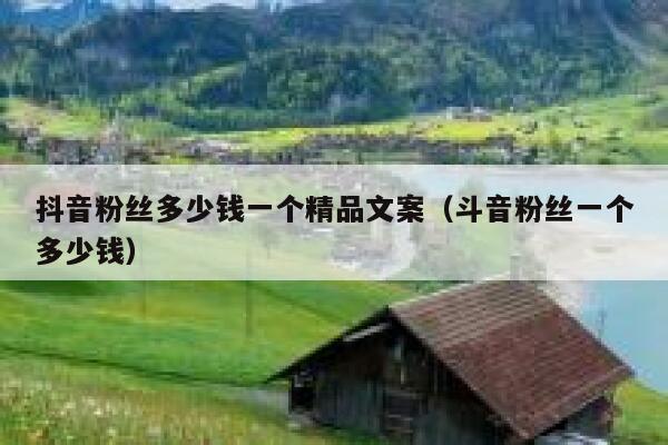 抖音粉丝多少钱一个精品文案（斗音粉丝一个多少钱） 第1张