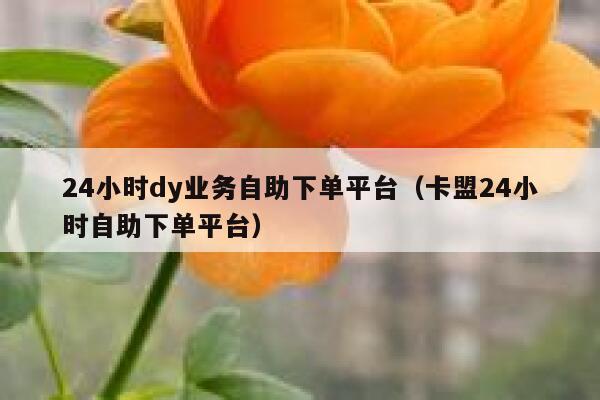 24小时dy业务自助下单平台(卡盟24小时自助下单平台) 第1张 24小时dy业务自助下单平台(卡盟24小时自助下单平台) 第1张