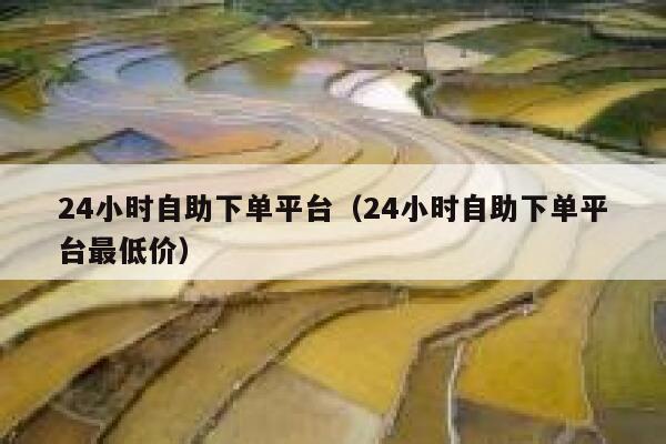 24小时自助下单平台（24小时自助下单平台最低价） 第1张