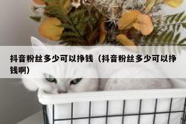 抖音粉丝多少可以挣钱(抖音粉丝多少可以挣钱啊) 第1张 抖音粉丝多少可以挣钱(抖音粉丝多少可以挣钱啊) 第1张