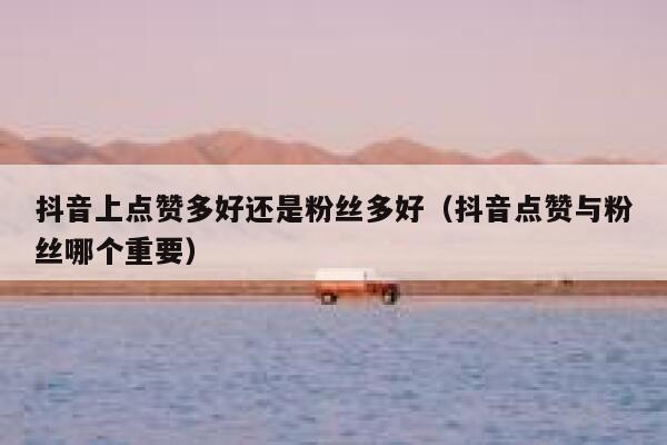 抖音上点赞多好还是粉丝多好(抖音点赞与粉丝哪个重要) 第1张 抖音上点赞多好还是粉丝多好(抖音点赞与粉丝哪个重要) 第1张