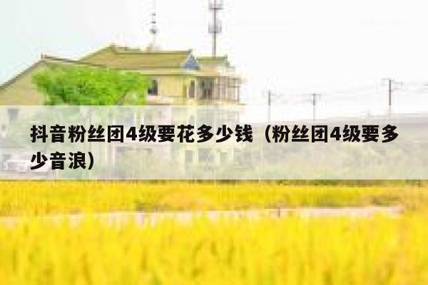 抖音粉丝团4级要花多少钱（粉丝团4级要多少音浪） 第1张