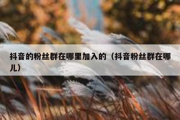 抖音的粉丝群在哪里加入的（抖音粉丝群在哪儿） 第1张