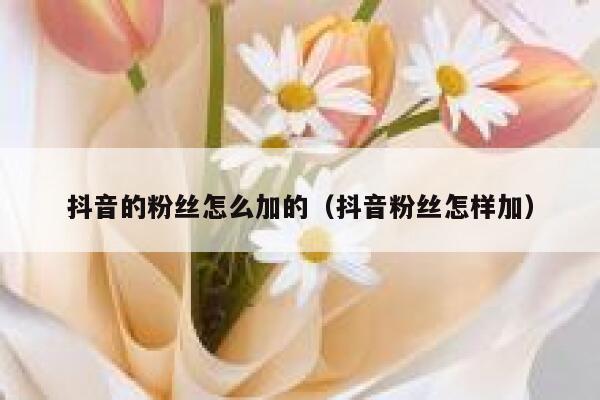 抖音的粉丝怎么加的（抖音粉丝怎样加） 第1张