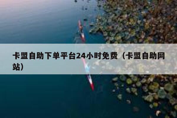 卡盟自助下单平台24小时免费（卡盟自助网站） 第1张