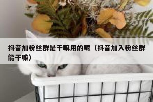 抖音加粉丝群是干嘛用的呢（抖音加入粉丝群能干嘛） 第1张