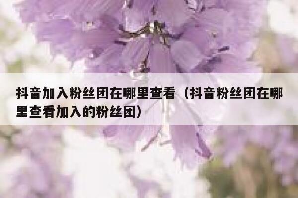 抖音加入粉丝团在哪里查看（抖音粉丝团在哪里查看加入的粉丝团） 第1张
