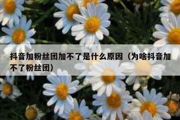 抖音加粉丝团加不了是什么原因（为啥抖音加不了粉丝团） 第1张