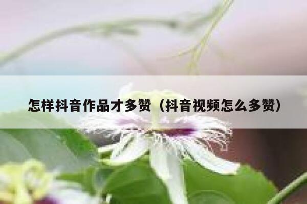 怎样抖音作品才多赞（抖音视频怎么多赞） 第1张