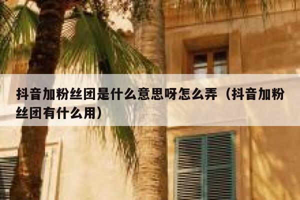 抖音加粉丝团是什么意思呀怎么弄（抖音加粉丝团有什么用） 第1张