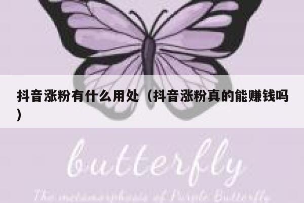 抖音涨粉有什么用处（抖音涨粉真的能赚钱吗） 第1张