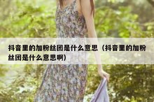 抖音里的加粉丝团是什么意思（抖音里的加粉丝团是什么意思啊） 第1张