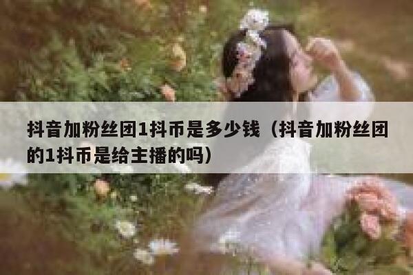 抖音加粉丝团1抖币是多少钱（抖音加粉丝团的1抖币是给主播的吗） 第1张