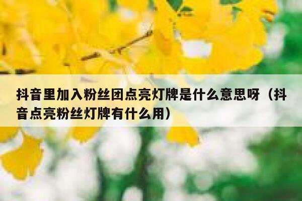 抖音里加入粉丝团点亮灯牌是什么意思呀（抖音点亮粉丝灯牌有什么用） 第1张