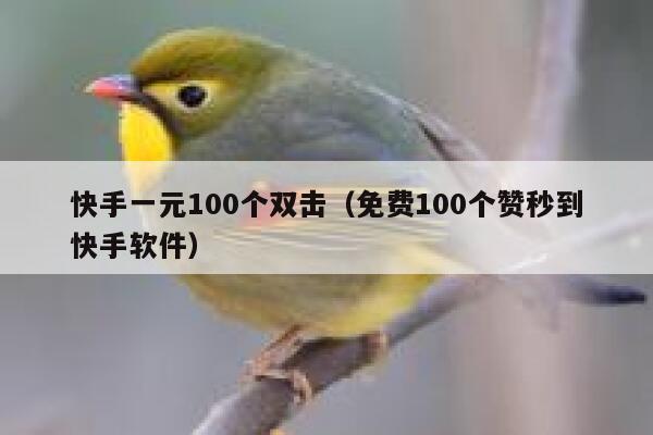 快手一元100个双击（免费100个赞秒到快手软件） 第1张