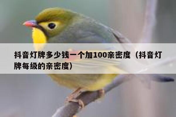 抖音灯牌多少钱一个加100亲密度（抖音灯牌每级的亲密度） 第1张