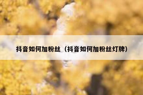 抖音如何加粉丝（抖音如何加粉丝灯牌） 第1张